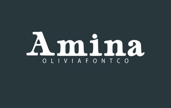 Amina Font: A Campaign Designer’s Honest Review