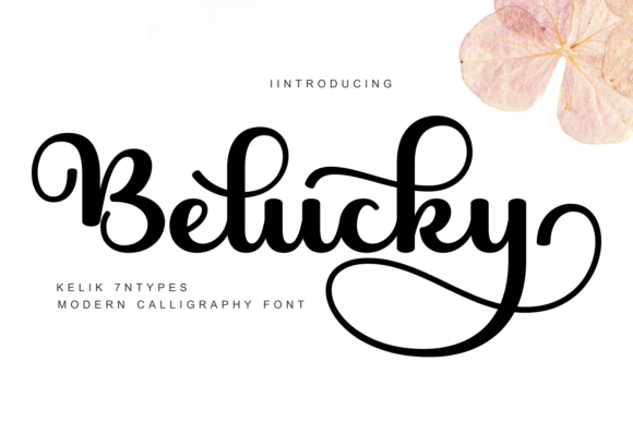 Belucky: A Stylish Script Font