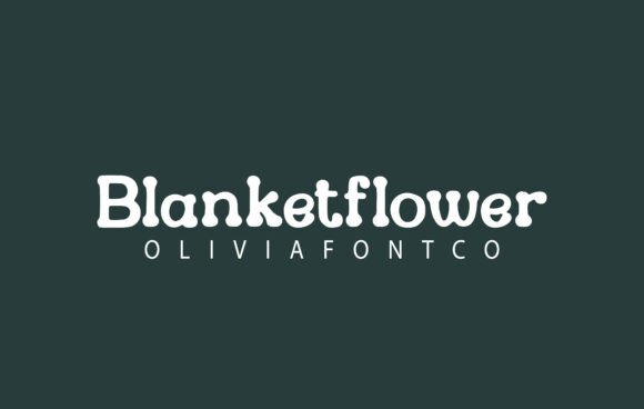 Blanketflower Font: A Web Designer’s Review for Digital Branding