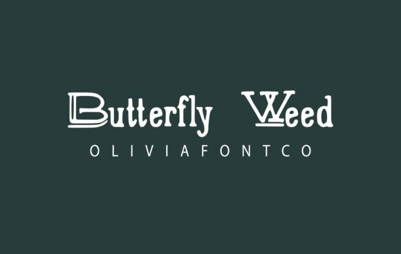 Butterfly Weed – A Designer’s Honest Review