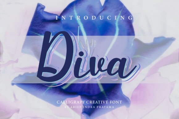 Diva Review: A Script Font Built for Real Branding Work