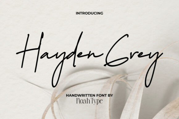 Hayden Grey Font for Web Design