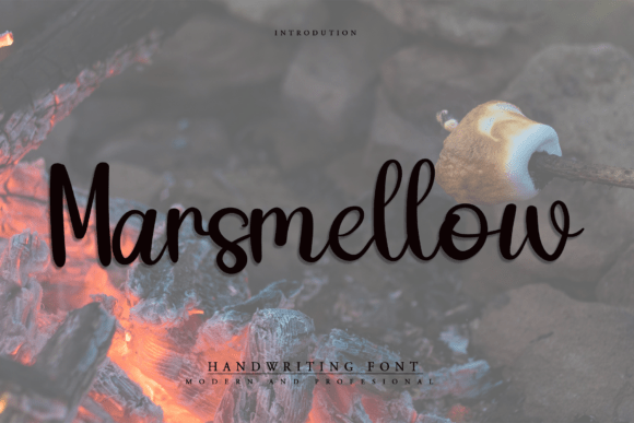 Marsmellow: A Delicate Script Font for Small Business Branding