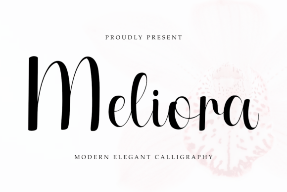 Meliora: A Script Font with Digital Polish for Modern Web Design