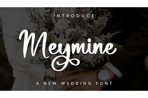 Meymine: A Script Font That Balances Elegance and Readability for Web Design