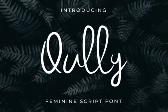 Qully: A Beautiful Script Font for Business
