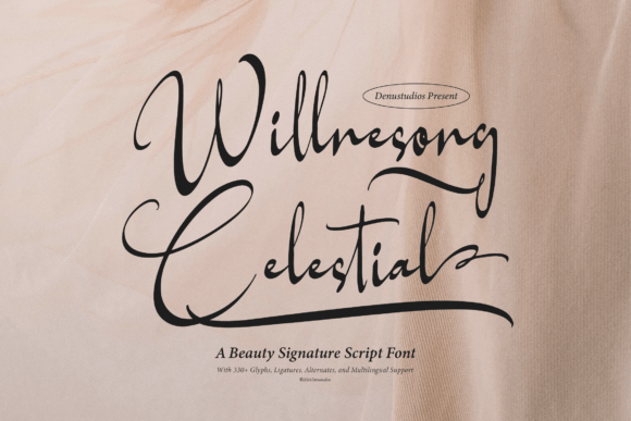 Willnesong Celestial: A Script Font for Handmade Labels and Shop Branding